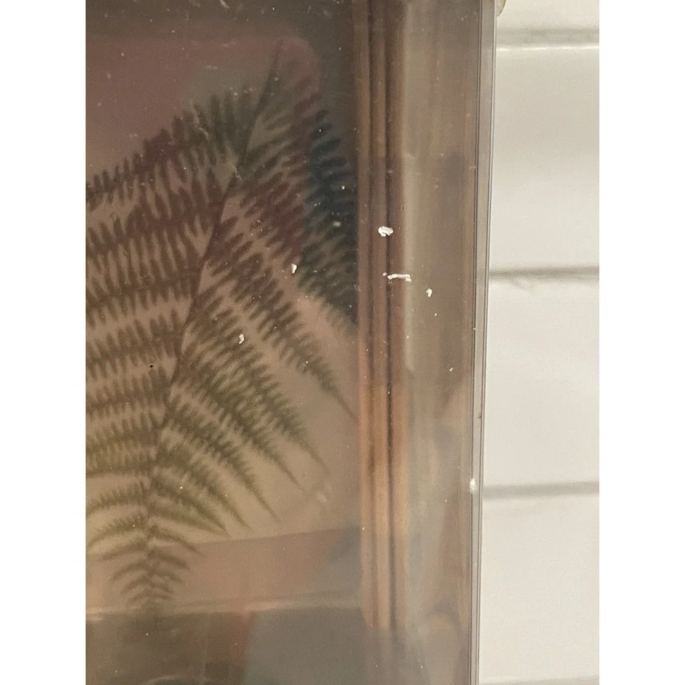 Colonial Candle Rainforest Reed Diffuser Home Fragrance 5.5 fl oz New Old Stock‎